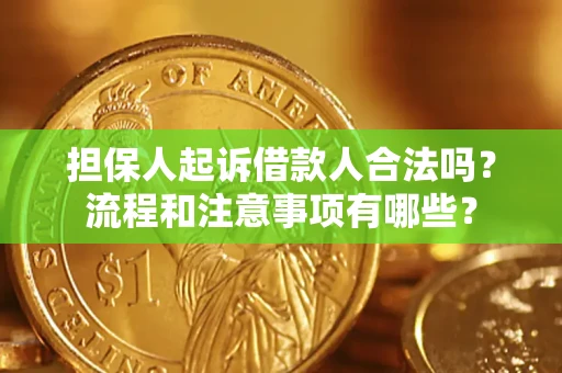 济南担保人起诉借款人合法吗？流程和注意事项有哪些？