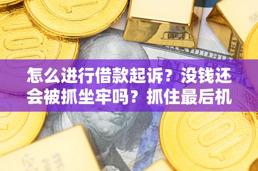 济南怎么进行借款起诉？没钱还会被抓坐牢吗？抓住最后机会！