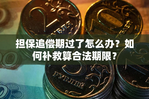 济南担保追偿期过了怎么办？如何补救算合法期限？