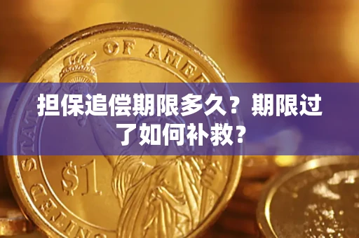 济南担保追偿期限多久？期限过了如何补救？