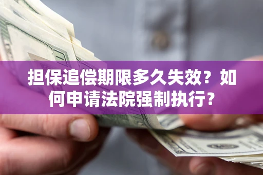 济南担保追偿期限多久失效？如何申请法院强制执行？