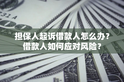 济南担保人起诉借款人怎么办？借款人如何应对风险？