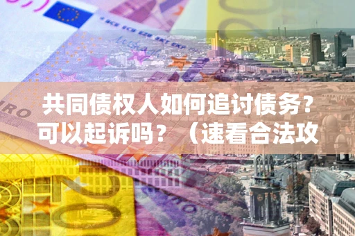 济南共同债权人如何追讨债务？可以起诉吗？（速看合法攻略）