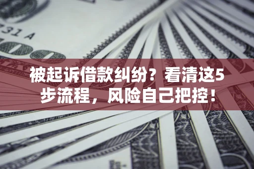 济南被起诉借款纠纷？看清这5步流程，风险自己把控！